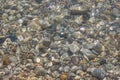 Close-up view of multicolored pebble of sea beach under clear water. Pattern of sea stone texture under water. Sea Royalty Free Stock Photo