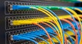 Close-up view of multiple colorful fiber optic patch cables connected to a network switch panel Royalty Free Stock Photo