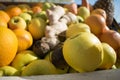 Closeup view of fresh oranges and apples fruits