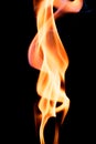 Close up view of natural flame