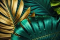 a close-up view of nature against a background of green leaves and palm trees. Flat lay, dark nature concept, tropical leaf Royalty Free Stock Photo