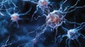 Close up view of a neuron cell structure with many interconnected neurons and synapses