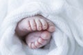 close up view of a newborn baby feet isolated on white and covered with a blanket Royalty Free Stock Photo