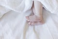 close up view of a newborn baby feet  on white and covered with a blanket Royalty Free Stock Photo