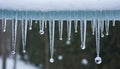 Close up of dripping icicles with water droplets in winter Royalty Free Stock Photo