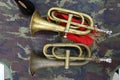 Close-up view of old instrument, golden trumpet placed on selectable focus. Royalty Free Stock Photo