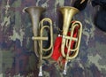 Close-up view of old instrument, golden trumpet placed on selectable focus. Royalty Free Stock Photo