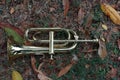 Close-up view of old instrument, golden trumpet placed on selectable focus. Royalty Free Stock Photo