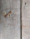 old, rusty nails on a wooden board Royalty Free Stock Photo