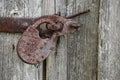 Close up view of the old rusty padlock on a aged gray wooden door Royalty Free Stock Photo