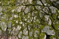 Detail of an old stone wall with moss - natural texture background Royalty Free Stock Photo