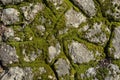 Close up view of an old stone wall with moss as a natural texture background Royalty Free Stock Photo