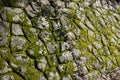 Close up view of an old stone wall with moss as a natural texture background Royalty Free Stock Photo