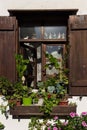 Close up view of old, traditional house window with wooden shutters and many flowers Royalty Free Stock Photo