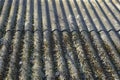 Close-up view of old wavy slate roof with moss. Texture of old slate with moss. Shed roof covered with old asbestos sheets.