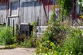 Close up view of old weathered red siding on a 19th Century wooden barn Royalty Free Stock Photo