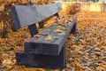 Close-up view of old wooden bench with yellow autumn leaves in the park. Picturesque golden color autumn. Royalty Free Stock Photo