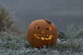 Halloween pumpkin lies on frozen grass Royalty Free Stock Photo