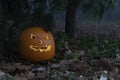 Halloween pumpkin in dark autumn forest Royalty Free Stock Photo