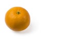 Close up view of orange isolation on white background