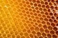 close-up view of organic honeycomb filled with honey