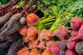 Close up view of organic turnips beets and carrots in bunches on offer at a farmers market