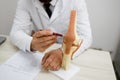 Close-up view of orthopedic doctor who demonstrates an artificial model of the knee joint. Royalty Free Stock Photo