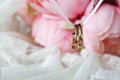 Close up view of pair golden wedding rings