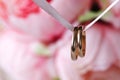 Close up view of pair golden wedding rings