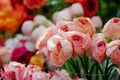 Orange, red and pink bouquet blooming roses at florist. Royalty Free Stock Photo