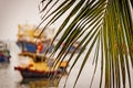 Close up view of a palm tree leave with fishing boats in the background