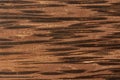 close-up view of palm wood grain texture