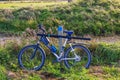 Close-up view of parked TREK bicycle with fishing rods on bank of narrow river on autumn day.