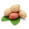 A close-up view of peanuts and a peanut shell on a green leaf. isolated on transparent background, isolated on white background Royalty Free Stock Photo