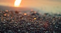 Close-up view of a pebble beach with blurred sea and sun background Royalty Free Stock Photo