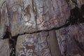 Close-up view of petroglyphs, ancient rock paintings in the Altai Mountains.