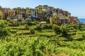 A close-up view of picturesque Cinque Terre village of Corniglia, Italy Royalty Free Stock Photo