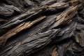 a close up view of a pile of black wood