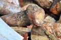 Close up view on a pile of chopped firewood Royalty Free Stock Photo