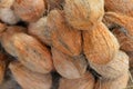 Close up view of a pile of coconuts