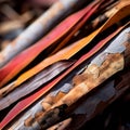 a close up view of a pile of colorful leaves
