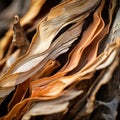 a close up view of a pile of dried leaves