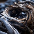 a close up view of a pile of driftwood