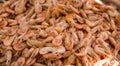 Close-up view of a pile of fresh little shripms. Royalty Free Stock Photo
