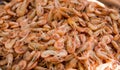 Close-up view of a pile of fresh little shripms. Royalty Free Stock Photo