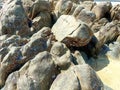 Close Up View, Piles Of Large Rocks On Tanjung Kalian Beach