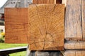 A close-up view of pine logs stacked horizontally and the structure of a tree cut with concentric rings. Royalty Free Stock Photo