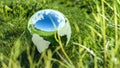 Close up view of planet earth globe crystal ball on a green grass field. Environmental protection, ecology and crystal ball of the Royalty Free Stock Photo