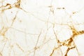 Close-up view of a polished marble surface with intricate veining and texture Royalty Free Stock Photo