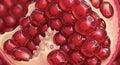 Close-up view of pomegranate seeds (Punica granatum) in a sectioned fruit. The ruby-red arils are Royalty Free Stock Photo